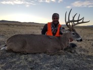 Montana Whitetail Deer Buck